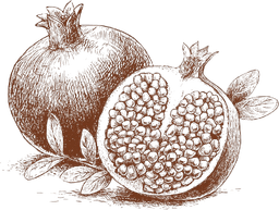 Pomegranate